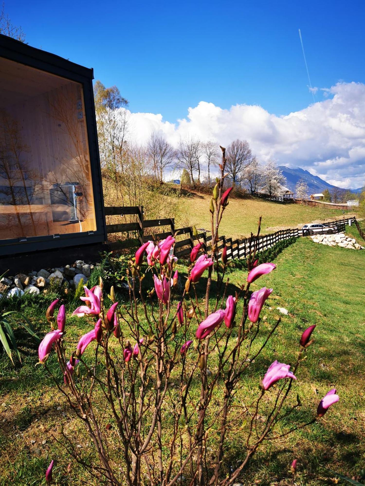 Doza De Verde Retreat&Spa Bran-Adults Only Sohodol  ภายนอก รูปภาพ